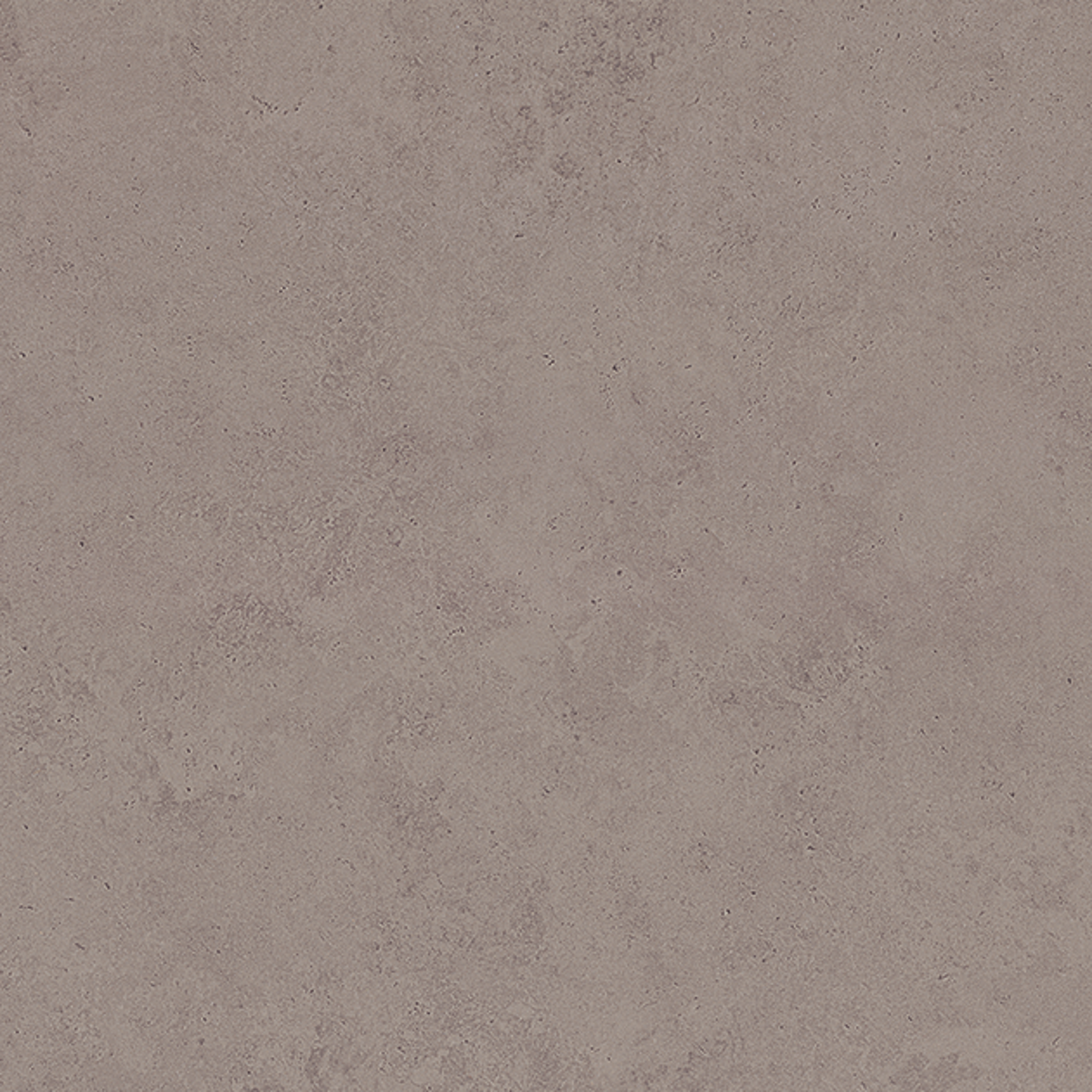 Bild der Steinstruktur Taranta im warmen Grauton FD16 